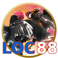 LOC88